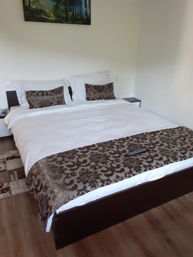 브란 Casa Mosoiu 아파트 외부 사진